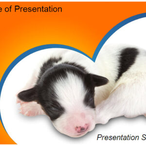 Puppy PPT Templates 1