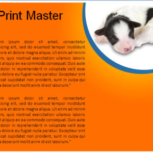 Puppy PPT Templates 3