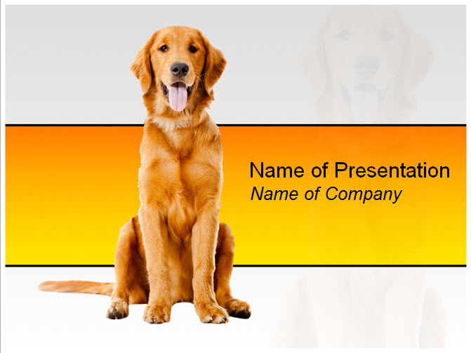Beautiful Dog Powerpoint Template