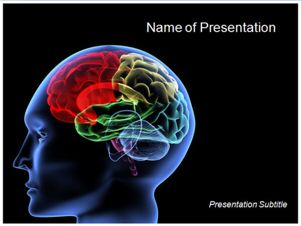 Human Brain PowerPoint Template