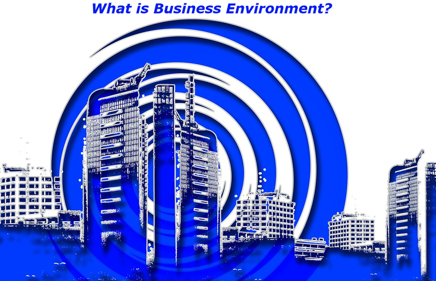 What is Business Environment?