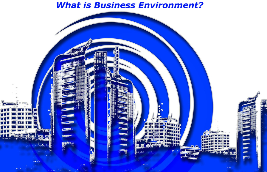 What is Business Environment